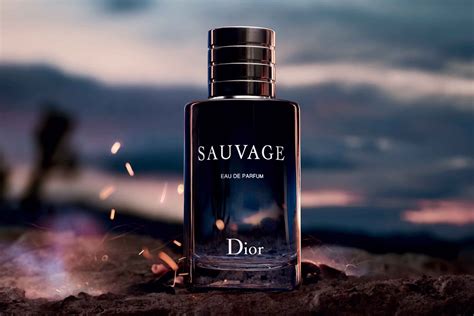 dior sauvage ervaring|dior sauvage best price.